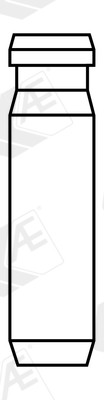 Valve guides for - for, amarok